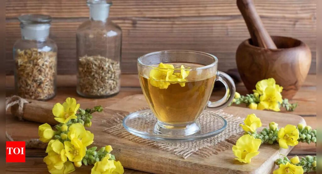 10 benefits of mullein tea: A natural remedy for cough, cold, and asthma |