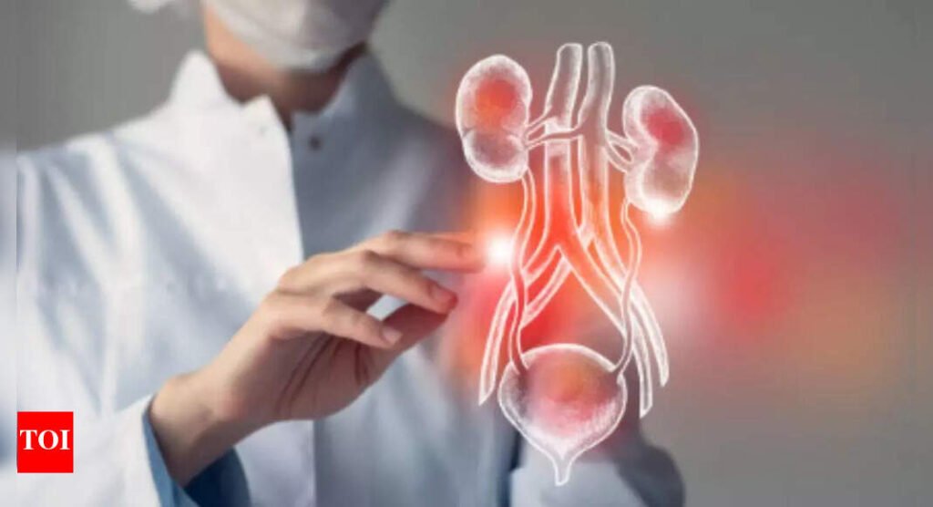 3 foods that can improve kidney function |