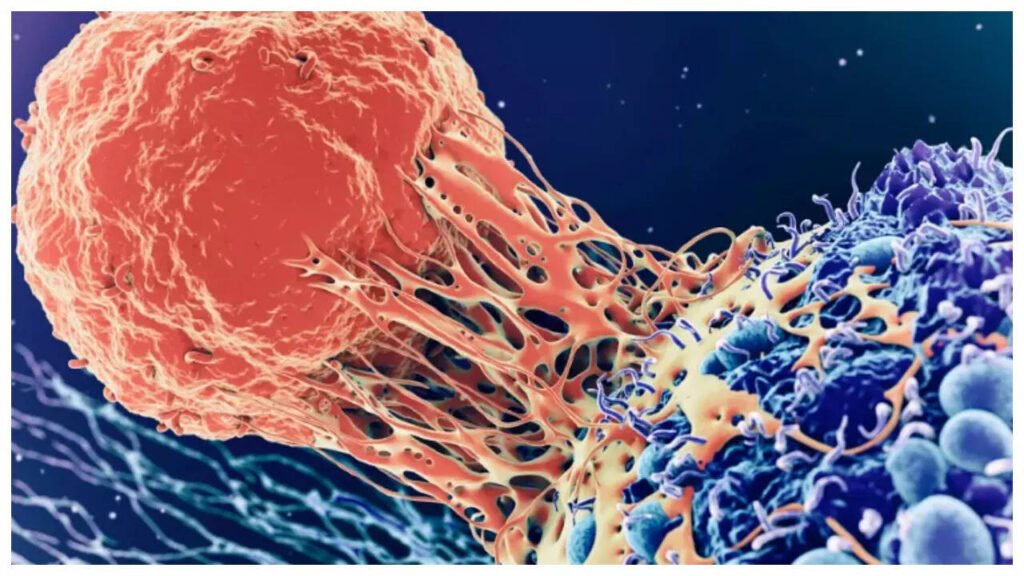 5 early symptoms of Sarcoma Cancer that affects the bones, muscles and blood vessels