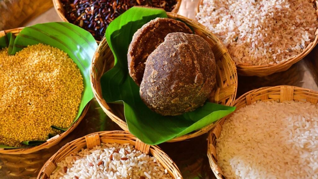 A seeds exhibition in Coimbatore showcases 100 varieties of native paddy varieties
