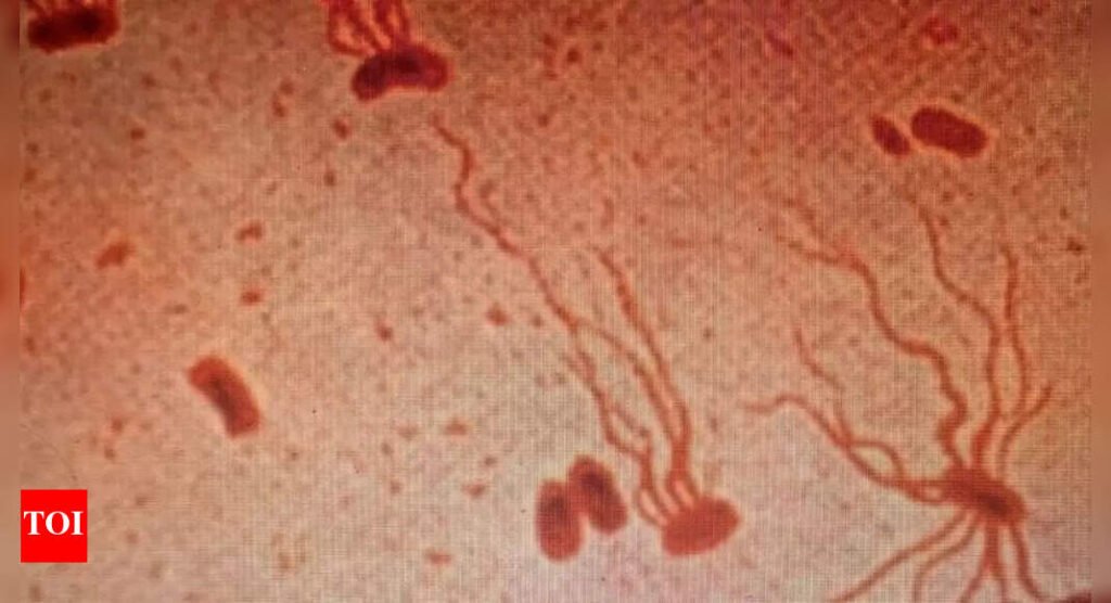 Ancient killer drug-resistant typhoid strains is becoming untreatable and spreading across the globe; study warns |