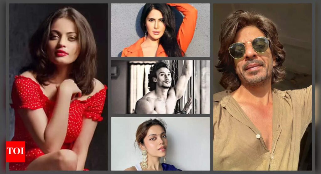 Bollywood Lookalikes Who Went Viral: Alina Rai, Ibrahim Qadri, Celesti Bairagey, Meet the Internet’s Favourite Celebrity Doppelgängers |