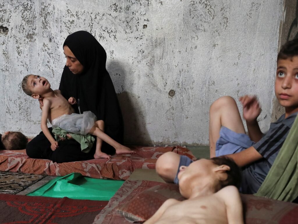 Death toll from starvation in Gaza rises to 115 as Israeli attacks continue | Israel-Palestine conflict News