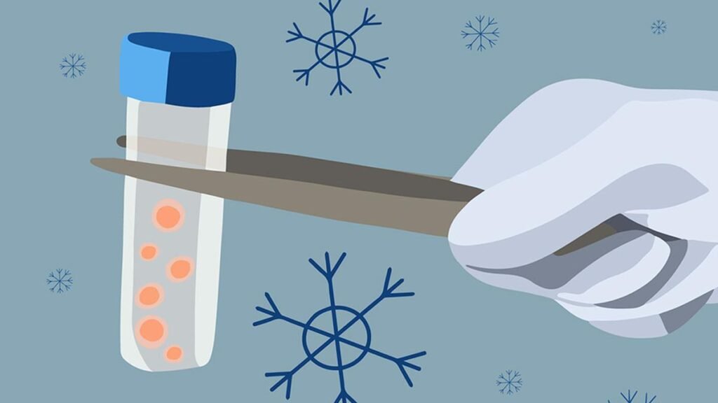 Egg freezing and fertility preservation: what you should know if you decide to opt for this