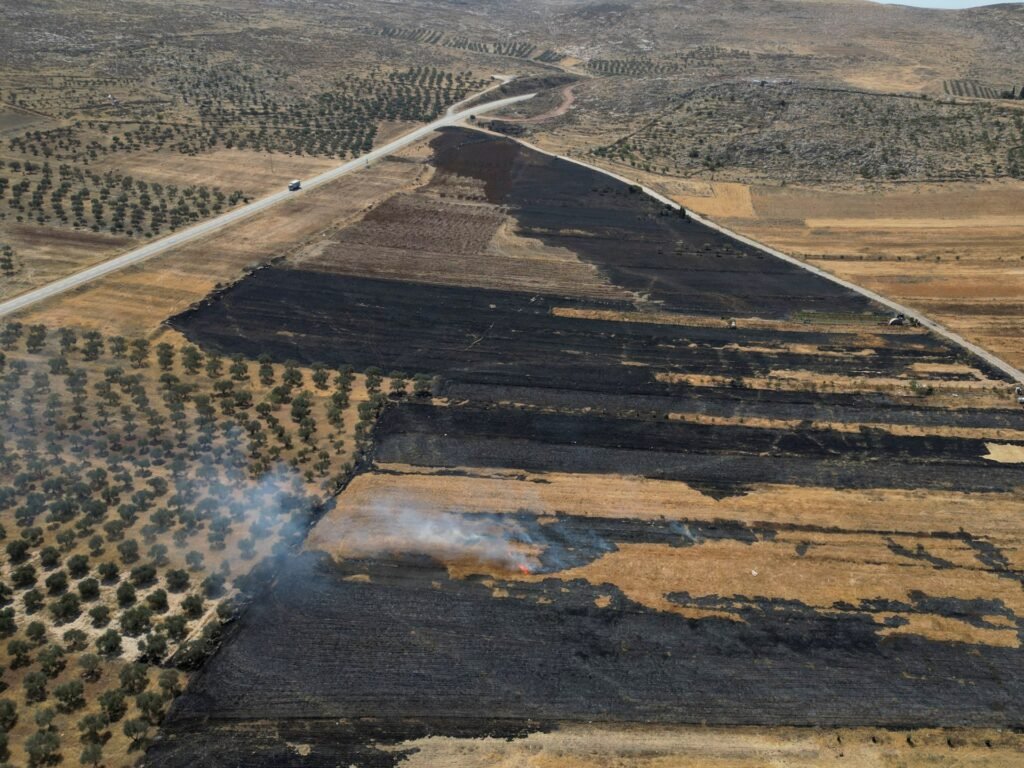 Israel is proceeding with annexation, and there is only one way to stop it | Israel-Palestine conflict