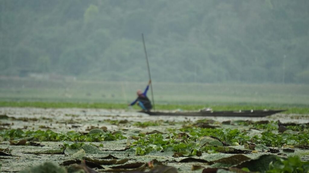 Kumbhi Kagaz Uses Water Hyacinth to Create Chemical-Free Stationery in Assam