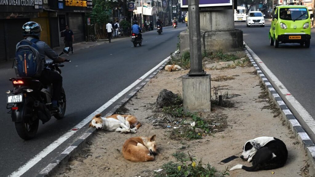 Lack of birth control centres, shortage of vets, leads to spike in dog bites, rabies deaths across south India