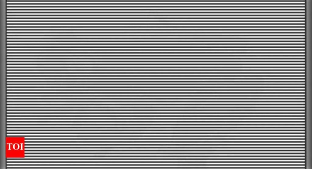 Optical Illusion: Can you spot the hidden animal in 15 Seconds? Only the sharpest eyes will see it!