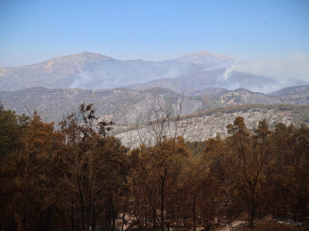 Syria says wildfires in northwest Latakia province contained after 10 days | Climate Crisis News