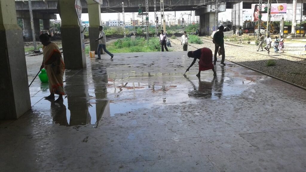 Why pigeon droppings need a public health response and better protection for sanitation staff
