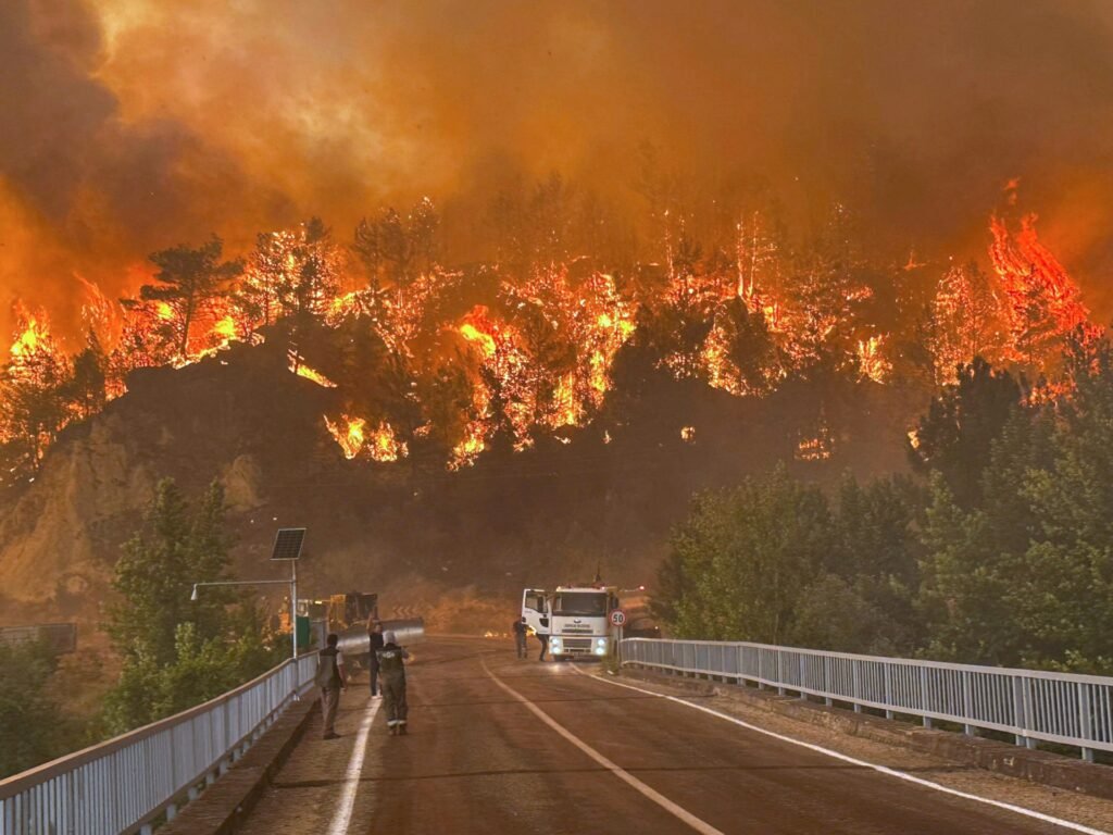 ‘Apocalypse’: Turkiye wildfires reach key northwest city as hundreds flee | Climate Crisis News