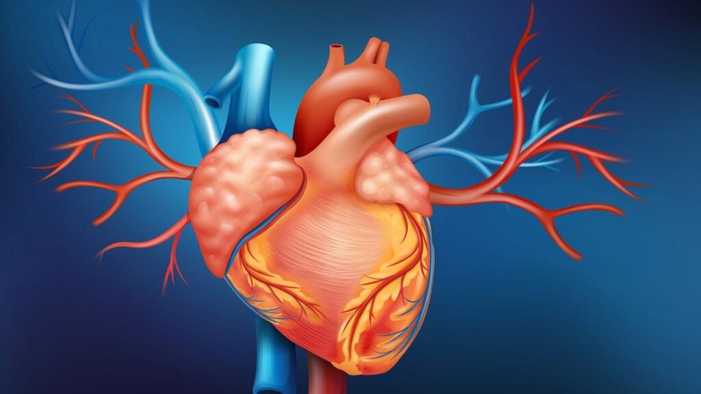 Ageing arteries, lingering risks: Covid’s quiet impact on heart health