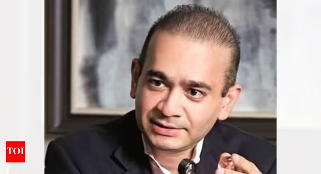 Extradition case: Nirav Modi will only face trial, no interrogation, India tells UK; hearing on Nov 23