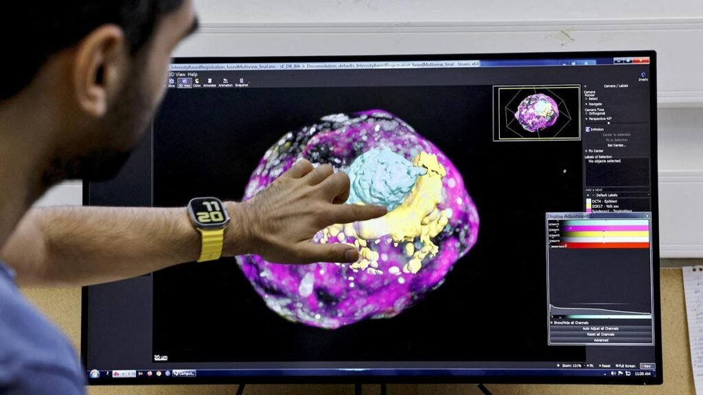Indian scientists discover ‘genetic switch’ inside womb that leads to pregnancy Indian scientists discover 'genetic switch' inside womb that leads to pregnancy